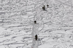 Red Fox Elbrus Race – 2016 International Festival of Extreme Sports