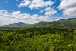 Sikhote-Alin Nature Reserve in Primorye Territory, Russia