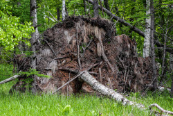Sikhote-Alin Nature Reserve in Primorye Territory, Russia