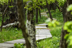 Sikhote-Alin Nature Reserve in Primorye Territory, Russia