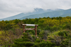 Sikhote-Alin Nature Reserve in Primorye Territory, Russia