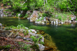Sikhote-Alin Nature Reserve in Primorye Territory, Russia