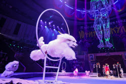 Clown circus show premieres in Lugansk