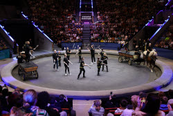 Open rehearsal at Great Moscow Circus