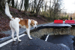 Landslide collapses road after heavy rains in Sochi