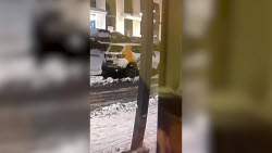 VIDEO. Detention of suspect in assassination of NBC Protection Troops commander Igor Kirillov