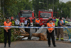 A private plane crashes and catches fire on the outskirts of Buenos Aires