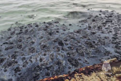 (+VIDEO) Oil spill cleanup on Crimea's Black Sea coast