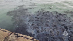 VIDEO: Oil spill cleanup on Crimea's Black Sea coast