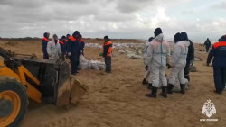 VIDEO. Oil spill clean-up in Russia's Krasnodar Region and Crimea