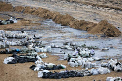 (+VIDEO) Oil spill clean-up of Anapa beaches