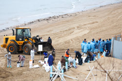 Oil spill clean-up of Anapa beaches