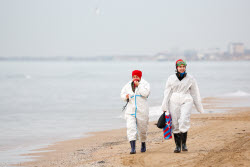 Oil spill clean-up of Anapa beaches