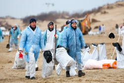 Oil spill clean-up of Anapa beaches