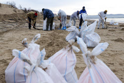 Oil spill clean-up of Anapa beaches