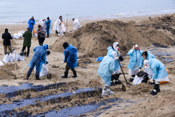 Oil spill clean-up of Anapa beaches