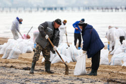 Oil spill clean-up of Anapa beaches