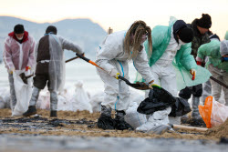 Oil spill clean-up of Anapa beaches