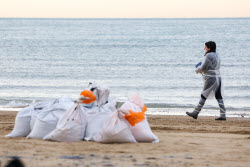 Oil spill clean-up of Anapa beaches