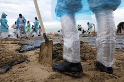 Oil spill clean-up of Anapa beaches
