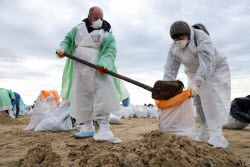 Oil spill clean-up of Anapa beaches