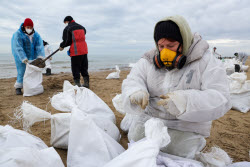 Oil spill clean-up of Anapa beaches