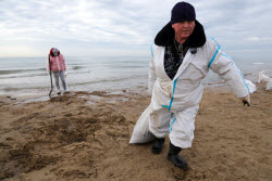 Oil spill clean-up of Anapa beaches