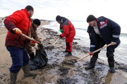 Oil spill clean-up of Anapa beaches