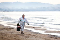 Oil spill clean-up of Anapa beaches