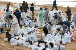 Oil spill clean-up of Anapa beaches