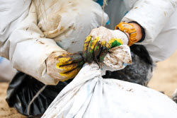 Oil spill clean-up of Anapa beaches