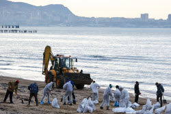 Oil spill clean-up of Anapa beaches