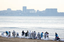 Oil spill clean-up of Anapa beaches
