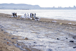 Oil spill clean-up of Anapa beaches
