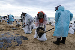 Oil spill clean-up of Anapa beaches