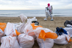 Oil spill clean-up of Anapa beaches
