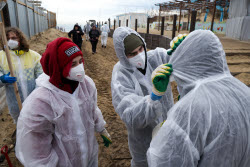 Oil spill clean-up of Anapa beaches