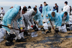Oil spill clean-up of Anapa beaches