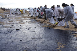 Oil spill clean-up of Anapa beaches