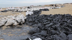 VIDEO. Oil spill clean-up of Anapa beaches