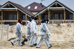Работа волонтеров и экстренных служб в Анапе после разлива мазута в Черном море 