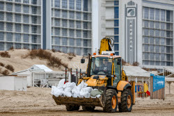 Работа волонтеров и экстренных служб в Анапе после разлива мазута в Черном море 