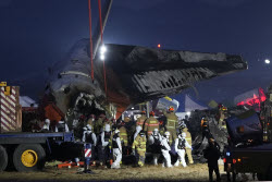(+ВИДЕО) Не менее 170 человек погибли при крушении самолета в Южной Корее