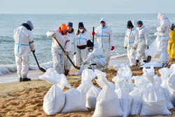 Уборка пляжей в Анапе после разлива мазута в Черном море