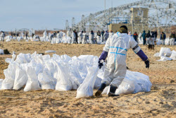 Уборка пляжей в Анапе после разлива мазута в Черном море