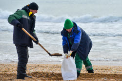 Уборка пляжей в Анапе после разлива мазута в Черном море