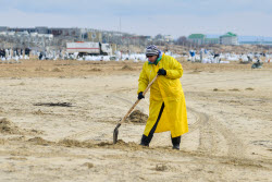 Уборка пляжей в Анапе после разлива мазута в Черном море