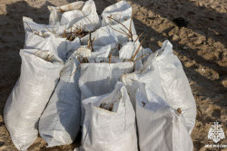 Oil spill cleanup in Zaporozhye Region