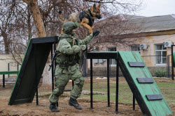 Подготовка военнослужащих инженерно-саперного соединения в Ростовской области