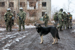 Работа военнослужащих инженерно-саперного батальона в ДНР